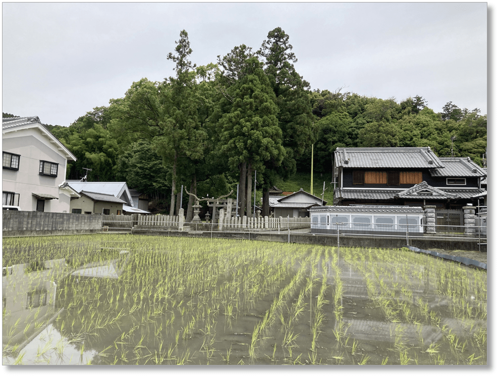 【S-NR024】春日神社本殿