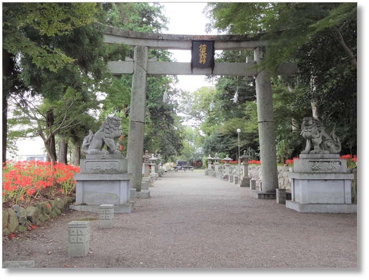 【S-SG001】沙沙貴神社