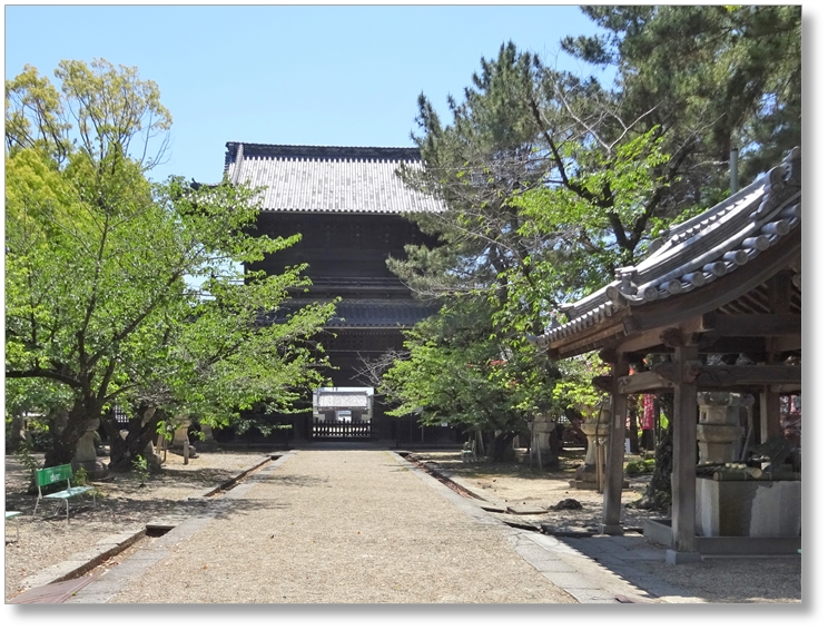 【T-AC008】大樹寺