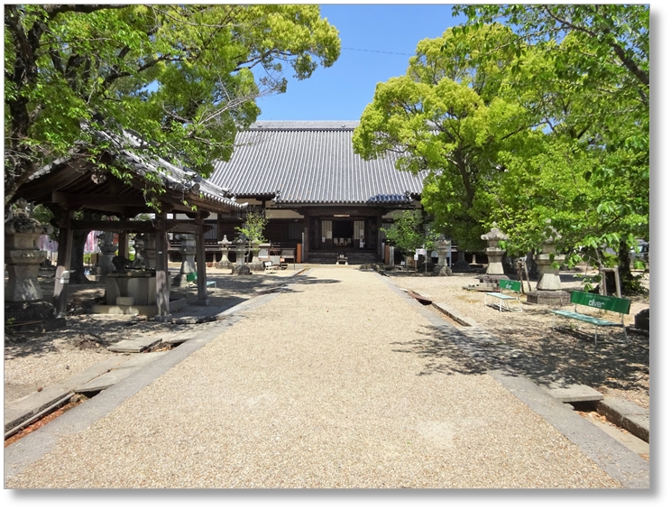 【T-AC008】大樹寺