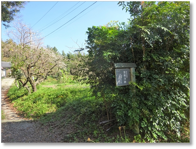 【T-AC021】花岳寺