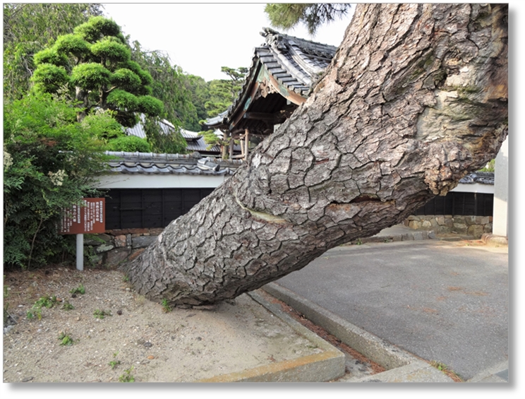 【T-AC022】圓融寺