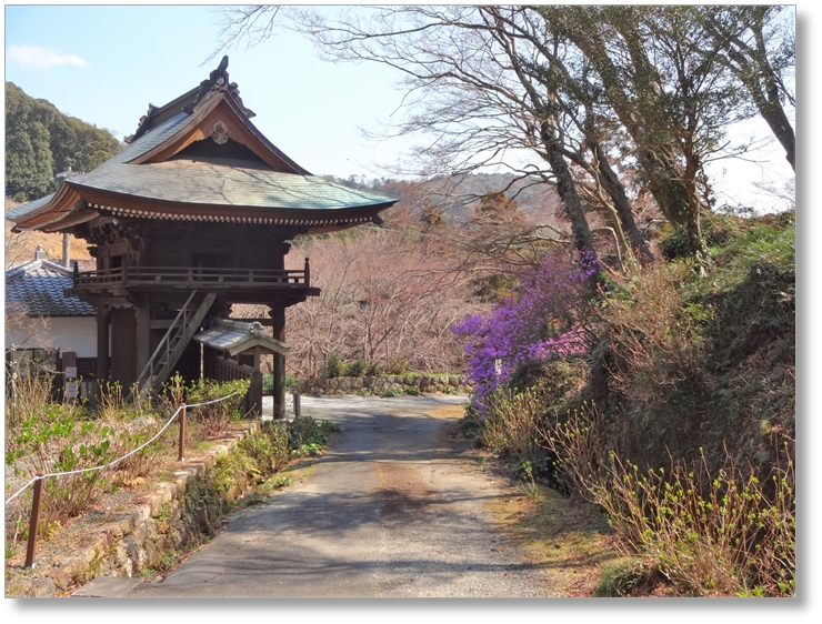 【T-AC046】普門寺