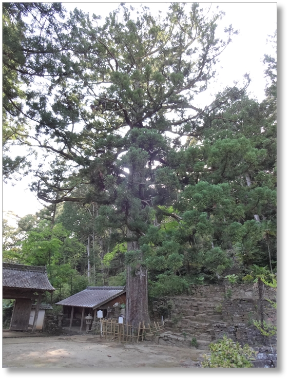 【T-AC060】天恩寺