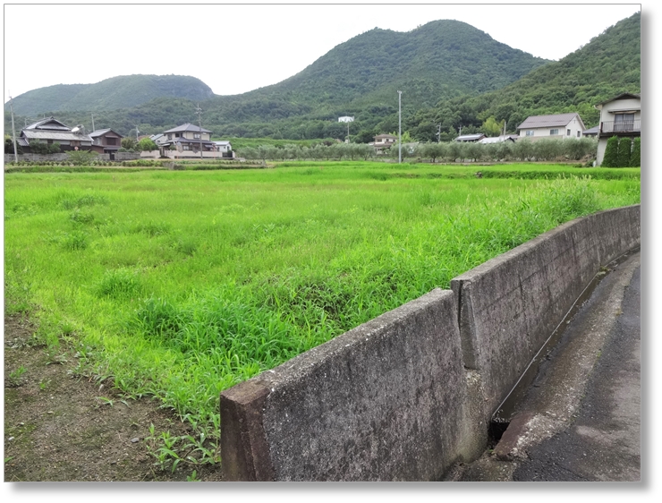 【T-KG002】讃岐国分尼寺跡