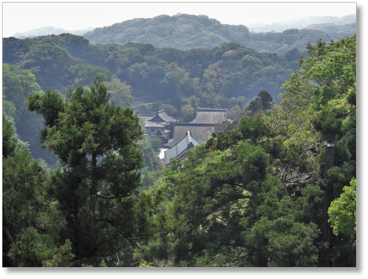 【T-KN001】建長寺