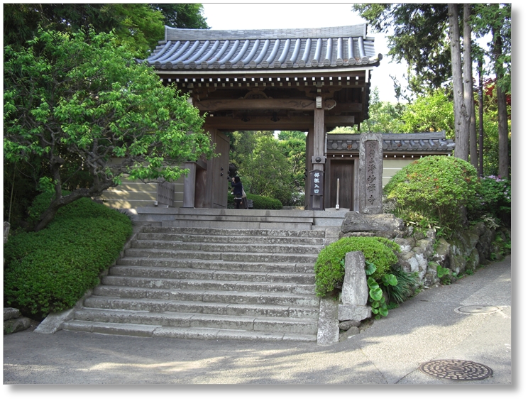 【T-KN005】浄妙寺