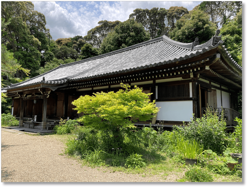 【T-KT009】浄瑠璃寺