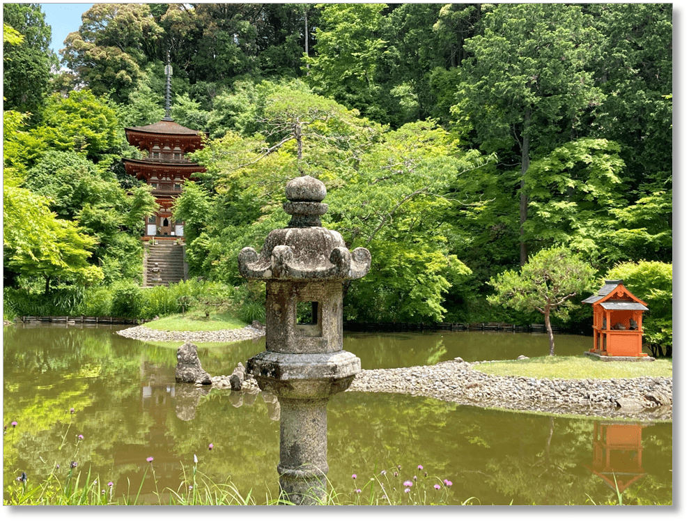 【T-KT009】浄瑠璃寺