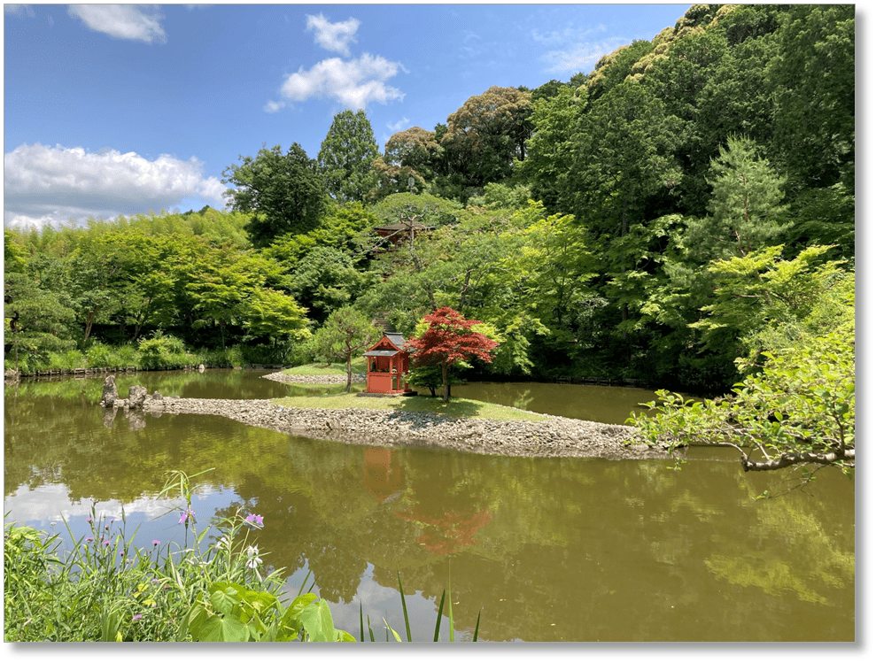 【T-KT009】浄瑠璃寺