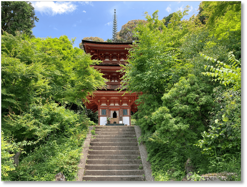 【T-KT009】浄瑠璃寺