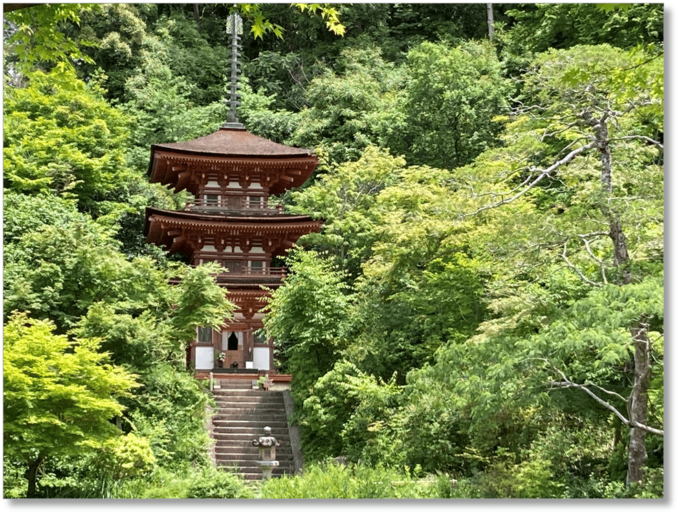 【T-KT009】浄瑠璃寺