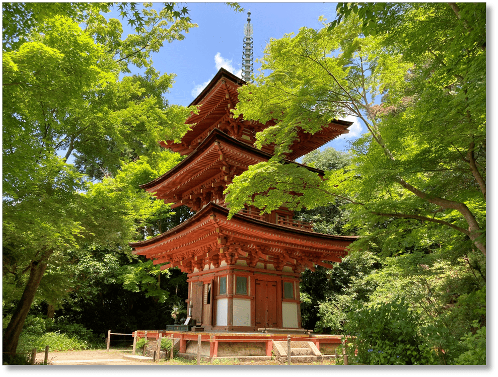 【T-KT009】浄瑠璃寺