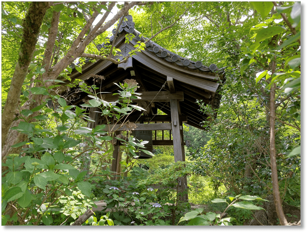 【T-KT009】浄瑠璃寺