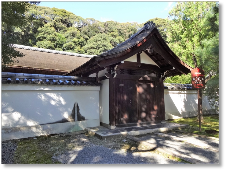 【T-KT024】東福寺