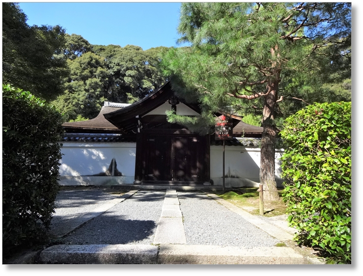 【T-KT024】東福寺