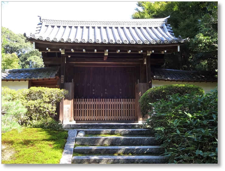 【T-KT024】東福寺