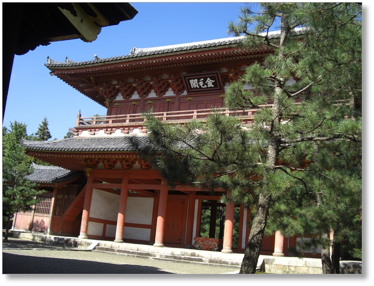 【T-KT038】大徳寺