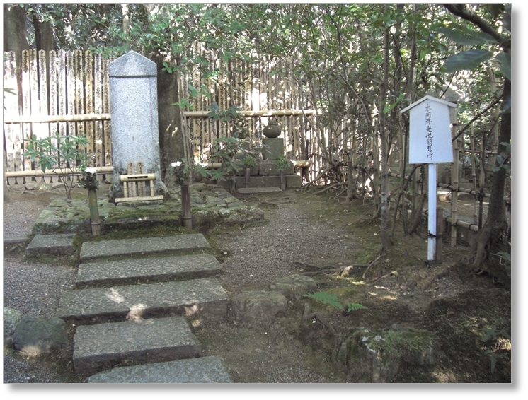 【T-KT040】光悦寺