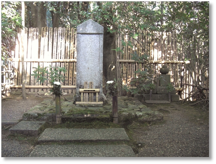 【T-KT040】光悦寺