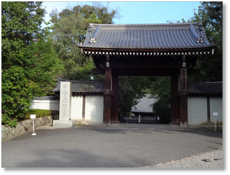 【T-KT044】泉涌寺