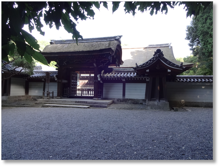 【T-KT044】泉涌寺