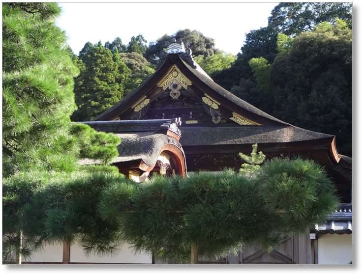 【T-KT044】泉涌寺