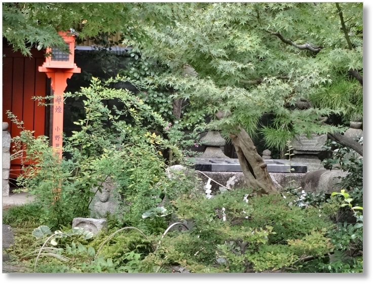 【T-KT047】六道珍皇寺