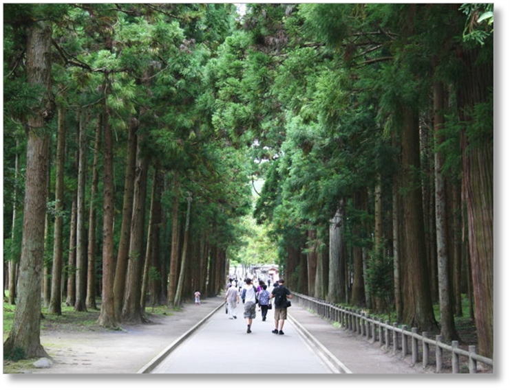 【T-MG001】瑞巌寺