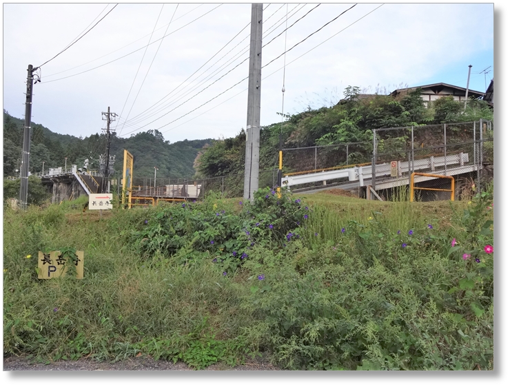 【T-NN004】長岳寺