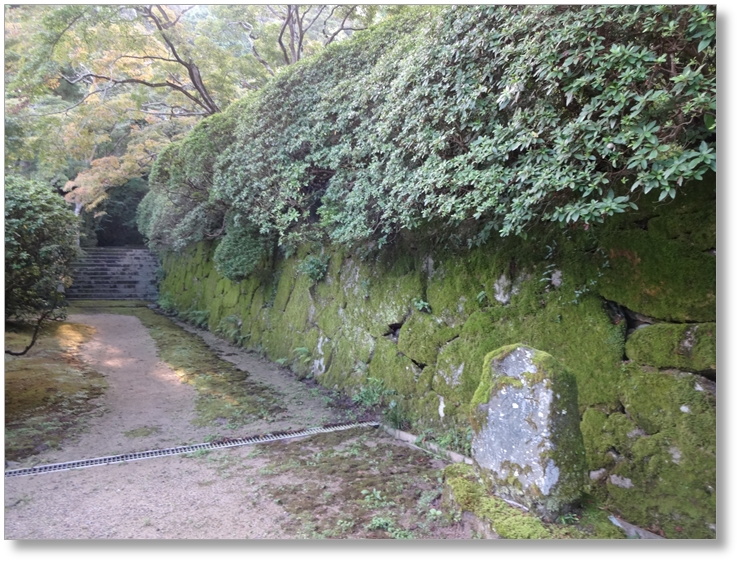 【T-NR015】長岳寺