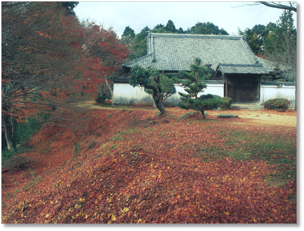 【T-NR024】芳徳寺