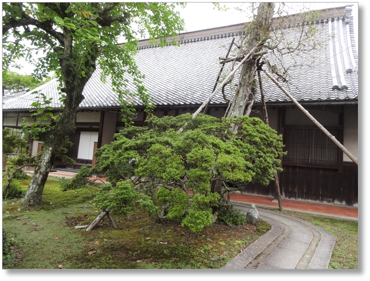 【T-OS003】弘川寺