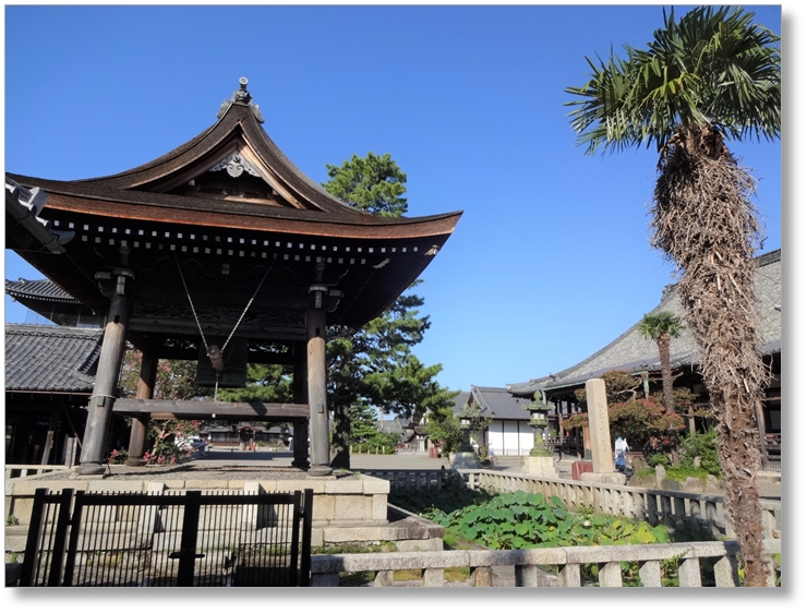 【T-SG021】大通寺