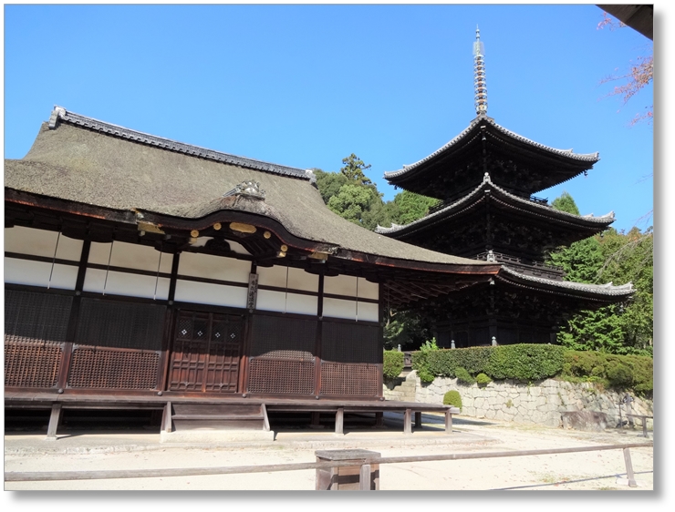 【T-SG010】園城寺(三井寺)