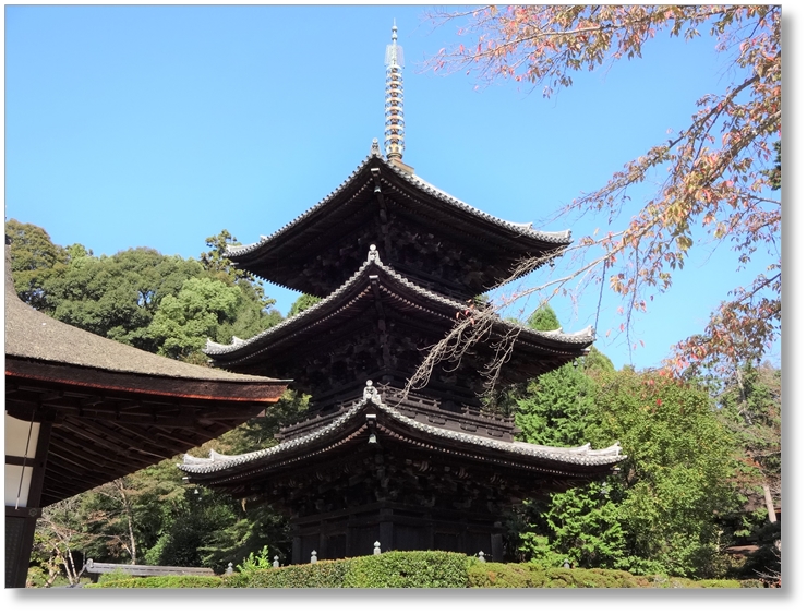 【T-SG010】園城寺(三井寺)