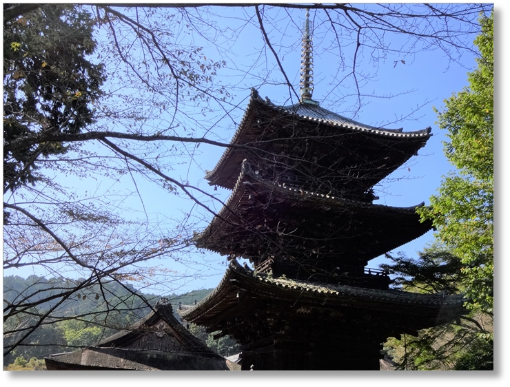 【T-SG010】園城寺(三井寺)