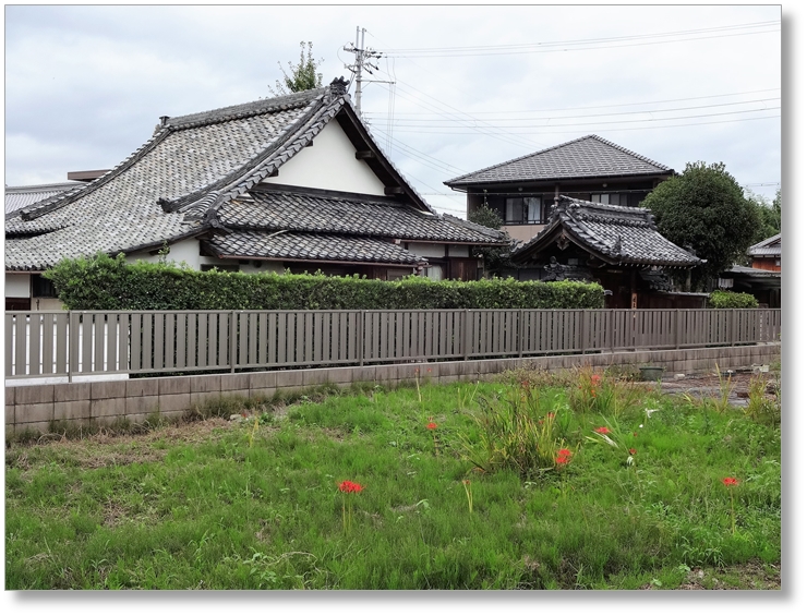 【T-SG015】妓王寺