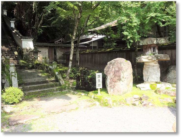 【T-SG020】西教寺