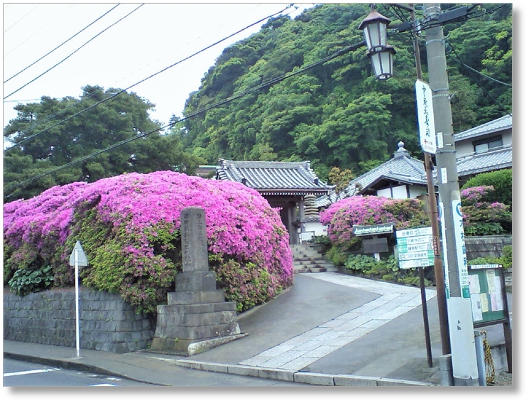 【T-KN014】安養院